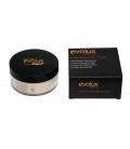 EVOLUX - MATTE MINERAL SILK POWDER 30gr 53